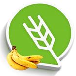 केळी लागवड #Agrownet™