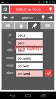 French Drills (V Conjugation) Affiche