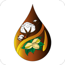Ноокен, Кочкор-Ата Жарыя APK