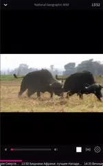 Скачать O!TV XAPK