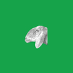 Арашан icon