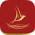 Hok Nguon Mobile icono