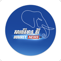 Domrey News