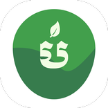 បន្លែនិងផ្លែឈើ Vegetables and 