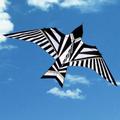 Kites Designs