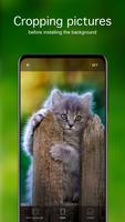 Kitten Wallpapers 4K Ekran Görüntüsü 3