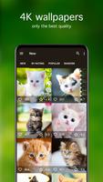 Kitten Wallpapers 4K syot layar 1