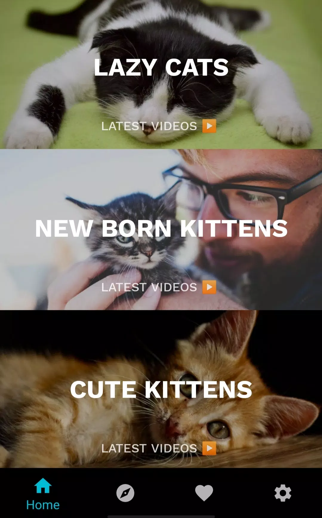 下载Funny Cat Videos: Funny Reactions and Cute Sounds的安卓版本 下载Funny Cat Videos: Funny Reactions and Cute Sounds的安卓版本