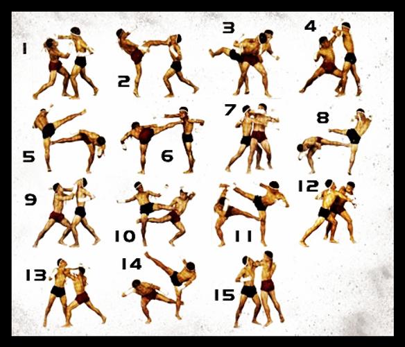 android icin kick boks kickboks egzersizleri apk yi indir