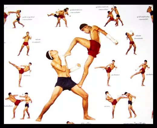 KICK BOXING🤜Kickboxing exercises APK for Android Download