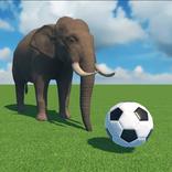 Kick football balls