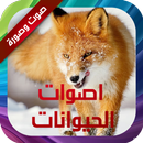 أصوات الحيوانات صوت وصورة APK