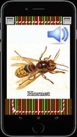 Insects for Info Kids capture d'écran 3