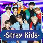 Stray Kids Songs ícone