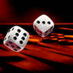 Backgammon Trainer icon