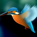 Kingfisher LiveWallpaper Trial APK