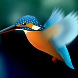 Kingfisher LiveWallpaper Trial icône
