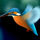 Kingfisher LiveWallpaper Trial aplikacja