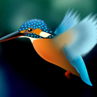 Kingfisher LiveWallpaper Trial आइकन