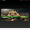 KING OF FIXED DRAWS APK