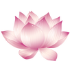 Phap Hoc Co Ban - Phat Phap APK