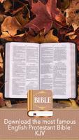 KJV Bible captura de pantalla 2