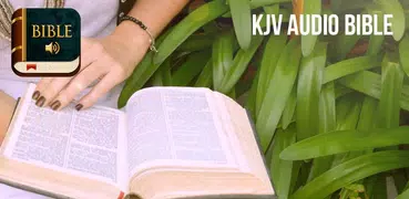 KJV Audio Bible offline