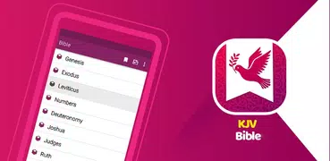 KJV Bible Offline with audio