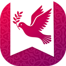 APK KJV Bible Offline with audio
