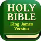 Daily Bible أيقونة