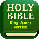 Daily Bible icône
