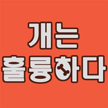 개는 훌륭하다 영상모음