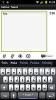 Polish Keyboard Plugin Cartaz