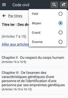 Code civil 2021 (France) captura de pantalla 3