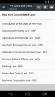 NY All Laws 2022 Affiche