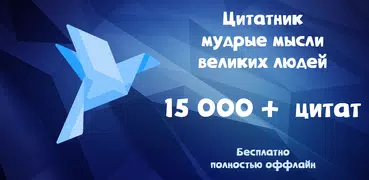 Цитаты, статусы и мудрые мысли