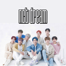 NCT Dream Songs Offline APK