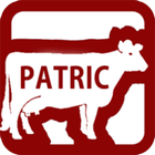 패트릭 icono