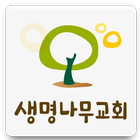 생명나무교회 담임 김진이목사 icon