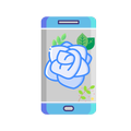 A Blue Rose