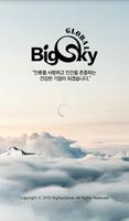 빅스카이글로벌 Cartaz