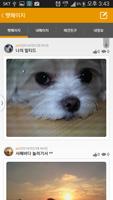 바이펫(강아지/고양이,포메라니안,유기견,애견용품,교배) syot layar 3