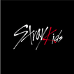 ”All That Stray Kids(songs, albums, MVs, Videos)