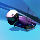 WINTER SPORTS : SKELETON APK