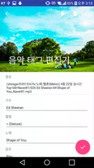 Music TagEditor XAPK download