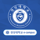 경상대학교 e-campus icono