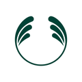 THE BODY SHOP