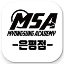 MSA APK