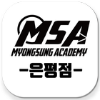 MSA 아이콘