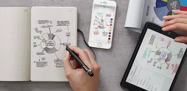 Moleskine Notes